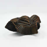 "Edge Expansion" in Bronze By Goran Konjevod