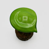 Mushroom On Base in Light Green By Kim Webster