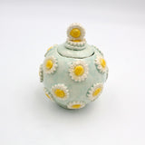 Daisy Container By Geraldine GaNun