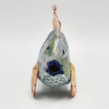 Aquarium Fish By Susan Wolf
