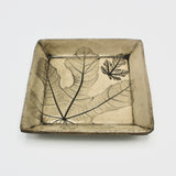 Square Fig Plate By Kathy Kearns