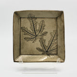 Square Fig Plate By Kathy Kearns