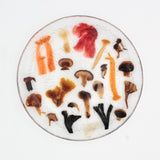 Mushroom Medley Glass Plate By Margaret Dorfman
