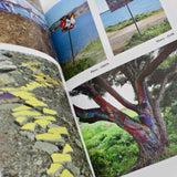 "Abandoned East Bay" Book By Xan Blood Walker