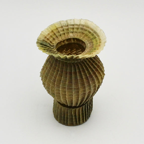 Small Yellow-green Pleated Vessel By Goran Konjevod