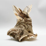 Pleated Leaves By Mayumi Fujio and Goran Konjevod