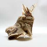 Pleated Leaves By Mayumi Fujio and Goran Konjevod
