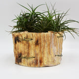 Off White Planter By Vivian Romero