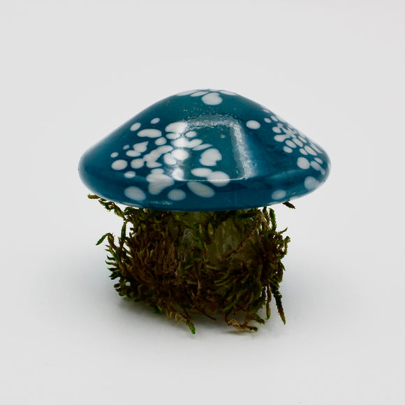 Small Solid Mushroom in Blue By Kim Webster