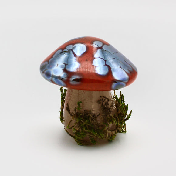 Small Solid Mushroom in Orange By Kim Webster