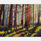 "Redwood Mist" Giclee Print By Michele Hausman