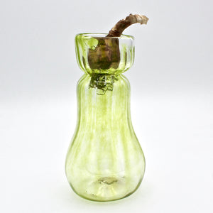 Bulb Forcer in Chartreuse By Kim Webster