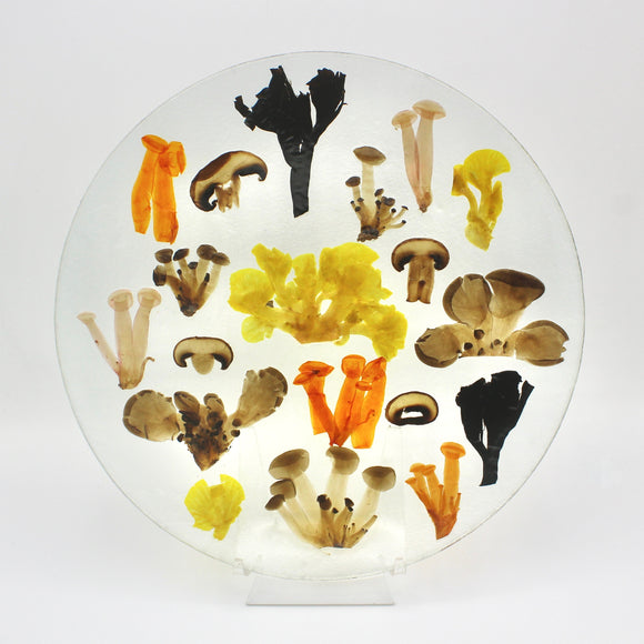 Large Mushroom Sampler Plate By Margaret Dorfman