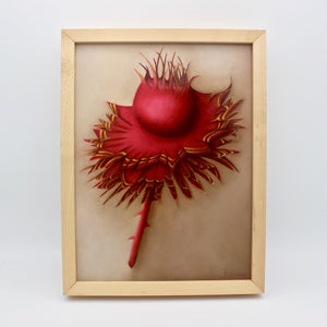 Red Thistle Framed Oil On Board By Russell Ryan